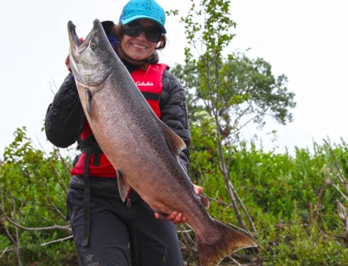 Great Alaska Salmon Fishing at Jake’s