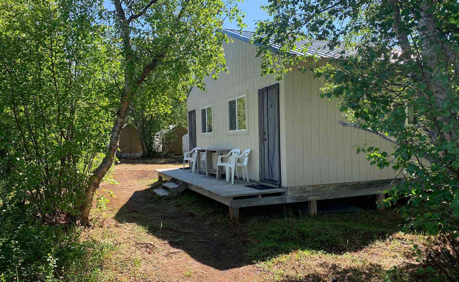 jakes_alaska_cabin_trees (1)